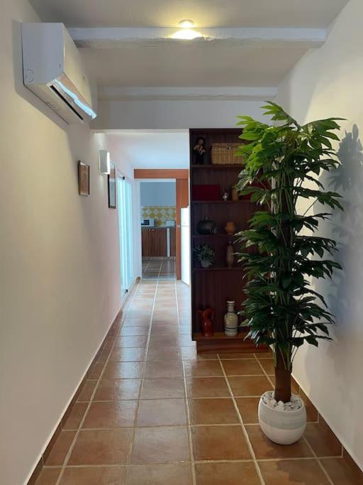 Casa Da Oliveira Villa Mourão Eksteriør bilde